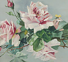 Stunning Pink Roses Oil Painting After Klein  (pg488)