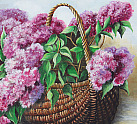 Beautiful Basket of Lilac Blooms Painting (pg536)